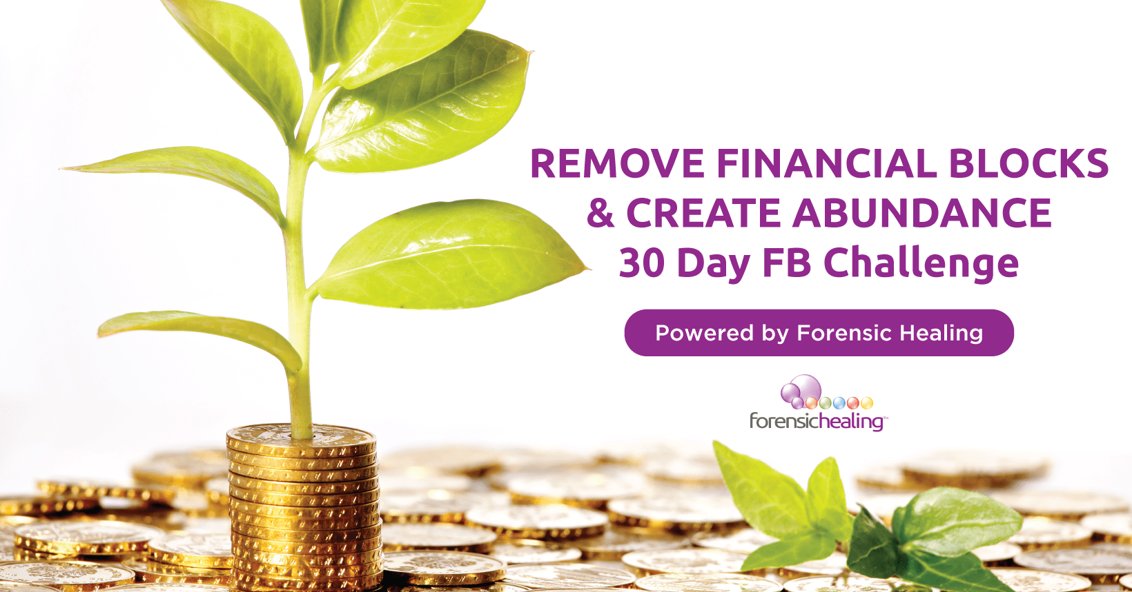 Create Abundance