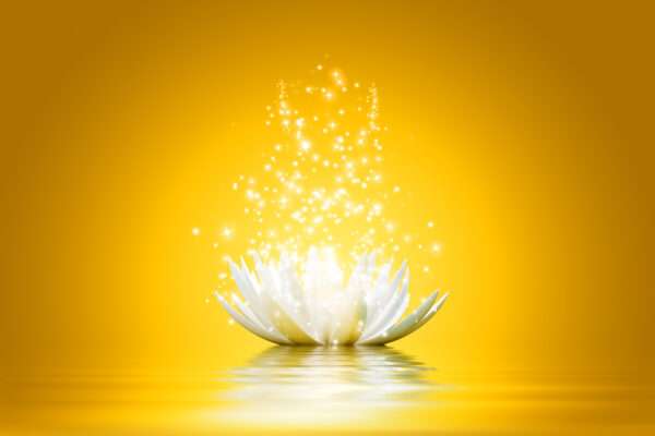 best healing online spiritual course soul energy courses
